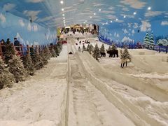 -世界之窗阿尔卑斯冰雪世界