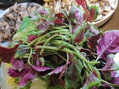 -菌乡缘·野生菌蒸汽鱼火锅(江边夜市店)