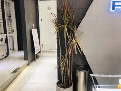 点击看大图 -梵茜儿·头道汤养生馆