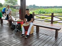 -荷塘月色湿地公园·向阳花洲