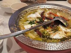 -姚姚酸菜鱼·金戈戈香港豉油鸡(喜荟城联名店)