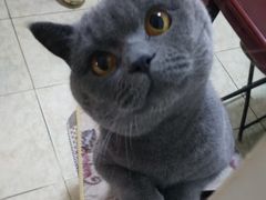 -美联众合动物医院·24h京西诊疗中心
