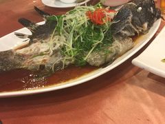 -御唐府海珊瑚主题餐厅