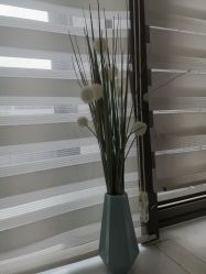 -悟空祛痘·诺奖技术专业店