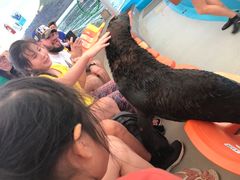 -尼莫海豚馆