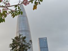 -深圳人才公园