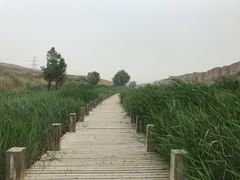 -水洞沟旅游区
