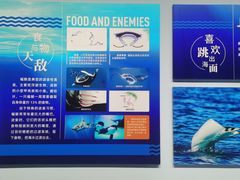 -大连自然博物馆