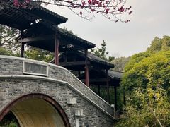 -八大山人梅湖景区