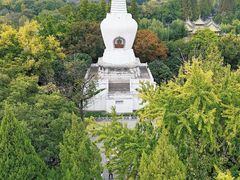 -何园