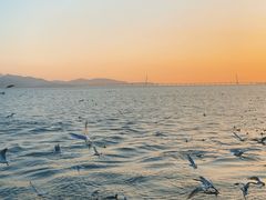 -深圳湾公园(南山区)