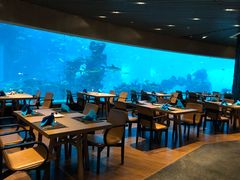 大堂-海棠湾洲际-涛·海底餐厅·美人鱼·自助餐·海底隧道