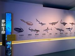 -上海中国航海博物馆