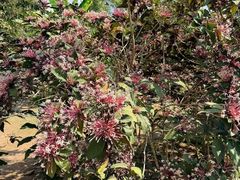 -温度铁板烧(亚泰大街店)