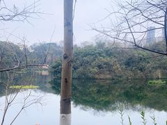 -重庆彩云湖湿地公园