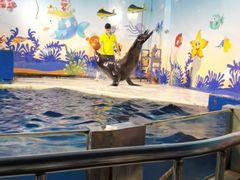 -太平洋海底世界