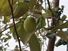 -中国移动南方基地