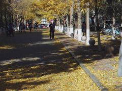 -北京化工大学(东校区)