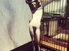 -尼依格罗香港美利酒店