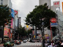 -涩谷区