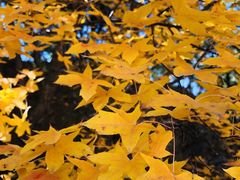 -北京十三陵国家森林公园蟒山景区