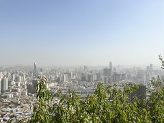 -兰山公园