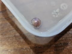 -十八字金·银饰·开蚌DIY·手工体验团建(富力广场店)