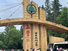 -五营红松林海景区