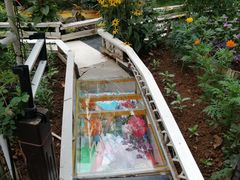 -南京市实验幼儿园