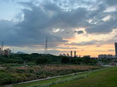 -大亚湾红树林城市湿地公园