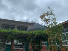 -崔家大院·特色农家菜
