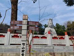 -潜山国家森林公园