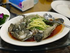 -蚝专家(北滘店)