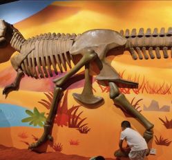 -北京科学中心儿童乐园