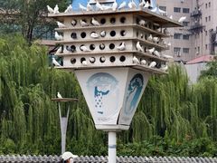 -泉城广场
