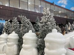 -世界之窗阿尔卑斯冰雪世界