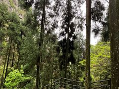 -刘伯温故里景区百丈漈