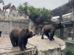 -灵玲国际马戏城