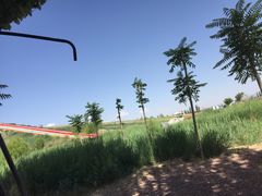 -三盛公水利风景区