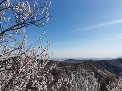 -香山公园