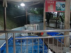 -鲤鱼塘农家山庄
