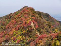 -秦岭风景区