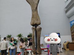 -自贡恐龙博物馆