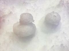 -Mr·Kuma酷么先生雪之乐园