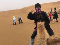 -银肯塔拉沙漠生态旅游景区