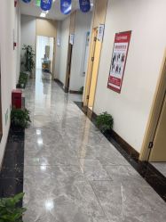 -碧莲盛·不剃发植发
