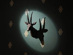 -The Cheebat 锌吧·Bistro(体育西店)