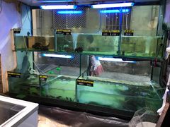 水产区-凤城礼记鱼翅海鲜酒家(新马路总店)
