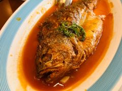 泉水麻麻鮰鱼-潇湘甲鱼村(清河店)