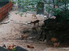 -杭州动物园